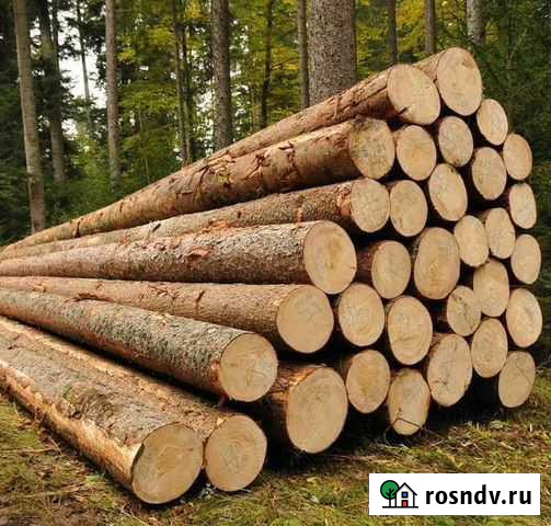Кругляк, пиловочник, деловой лес К,У,П,И,М Кинель - изображение 1