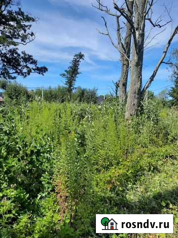 Покос травы Спил деревьев Калининград - изображение 1