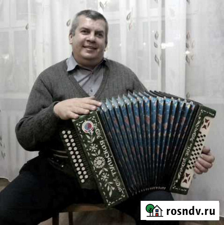Услуги профессионального баяниста Суворов - изображение 1