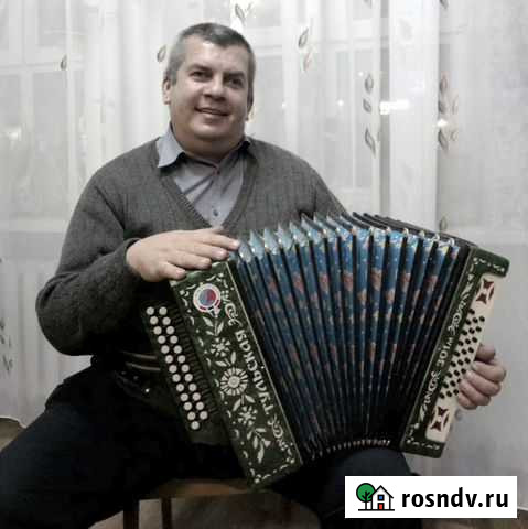 Услуги профессионального баяниста Суворов - изображение 1