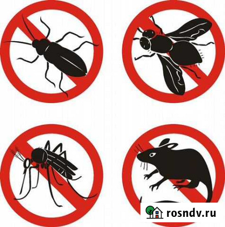 Дезинсекция Дезинфекция Озонатор Севастополь - изображение 1