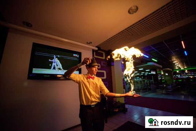 Шоу гигантских мыльных пузырей Тамбов - изображение 1