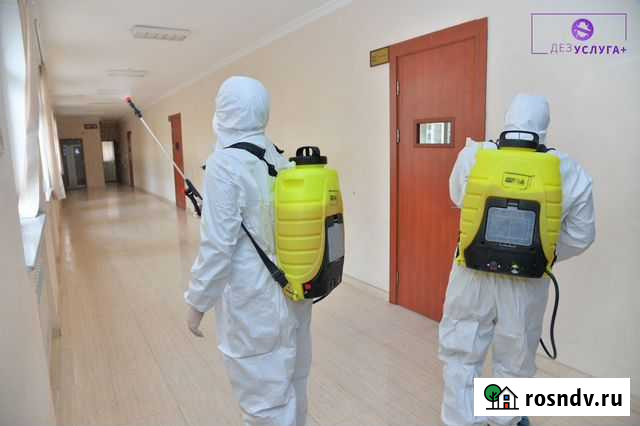 Уничтожение клопов, тараканов, муравьев, плесени Зеленодольск - изображение 1