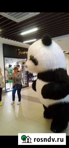 Экспресс поздравление от Панды Ковров - изображение 1