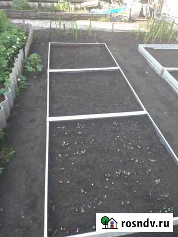 Грядки Омск - изображение 1