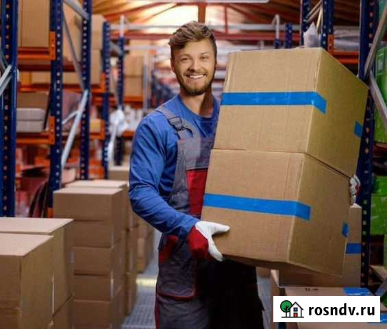 Грузчики, Разнорабочие, переезды в Мытищах Мытищи - изображение 1