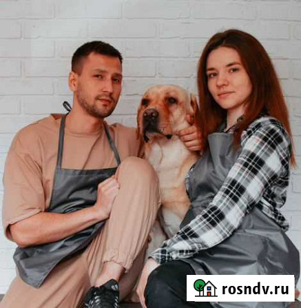 Груминг. Стрижка собак и кошек. Экспресс-линька Иваново - изображение 1