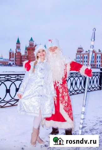 Дед мороз и Снегурочка Йошкар-Ола - изображение 1