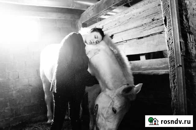 Фотограф Фотосессия Севастополь - изображение 1