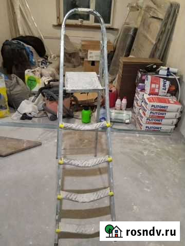 Стремянка Янино-1 - изображение 1