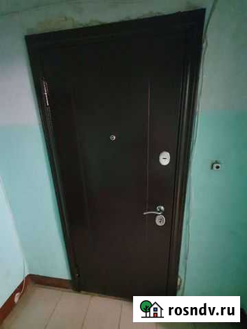 Дверь входная Арзамас - изображение 1
