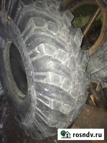 Шины 15.00-20 я-190 Зеленоборский - изображение 1