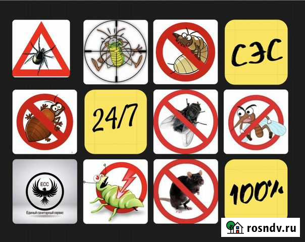 Травля клещей, клопов, тараканов, короед Иваново - изображение 1