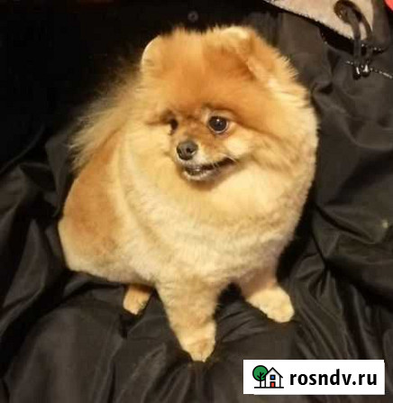 Стрижка Волгоград - изображение 1