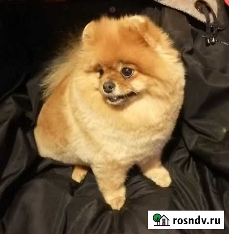 Стрижка Волгоград - изображение 1