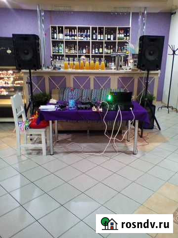 Поющий - Ведущий, DJ, ансамбль Вурнары - изображение 1