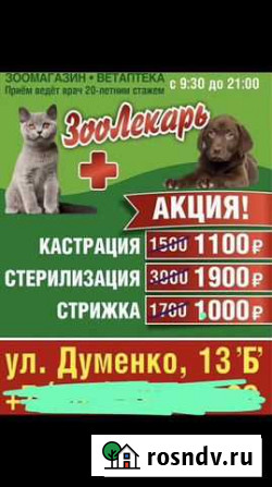 Вызов Ветеринарный врач ветеринарная клиника помощ Ростов-на-Дону - изображение 1