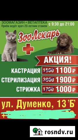 Вызов Ветеринарный врач ветеринарная клиника помощ Ростов-на-Дону - изображение 1