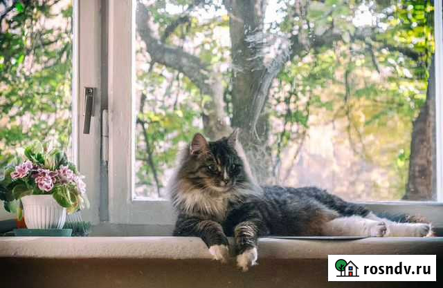 Пластиковые окна Владимир - изображение 1