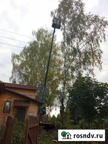 Спил деревьев, кустарников Калязин - изображение 1