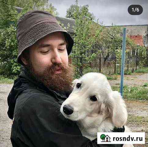 Воспитание и дрессировка собак inst:uncle.vania Калининград