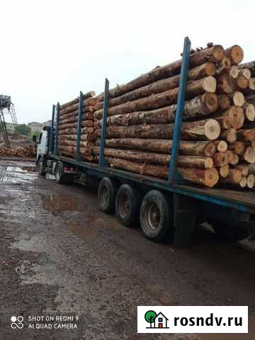 Лесовоз Череповец - изображение 1