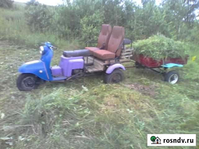 Муровей Шадринск - изображение 1