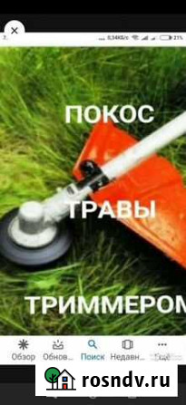 Скашывание тровы Энгельс - изображение 1