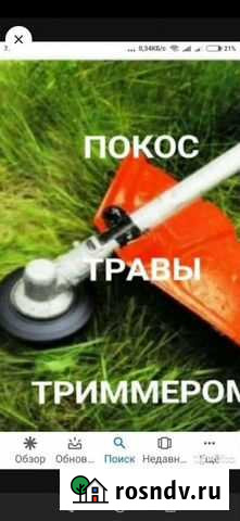 Скашывание тровы Энгельс - изображение 1