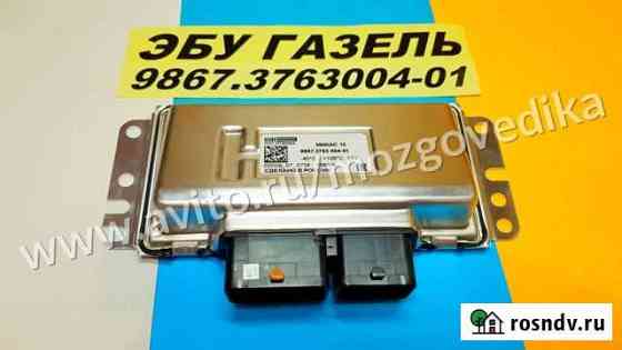 Эбу Мозги на Газ Микас 12 9867.3763004-01 2009 07 Москва