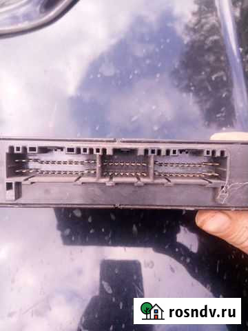 Мозги Шарья - изображение 1