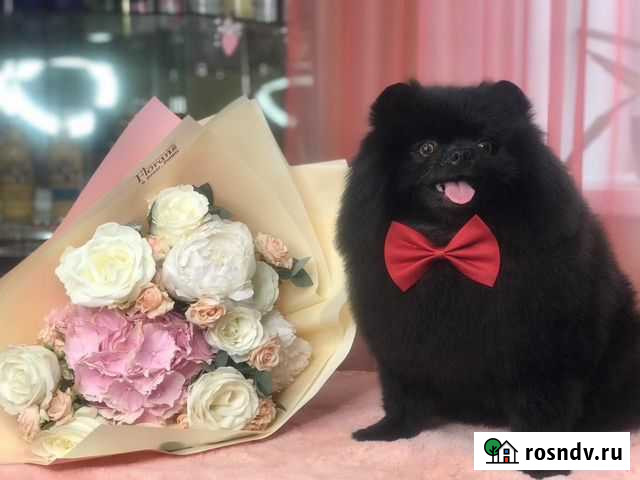 Вязка Благовещенск - изображение 1