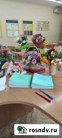 Репетитор начальных классов, логопед Екатеринбург - изображение 1