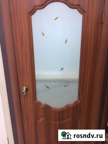 Двери Пугачев - изображение 1