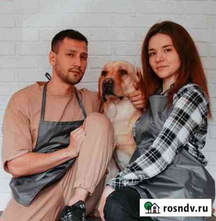 Груминг. Стрижка собак и кошек. Экспресс-линька Иваново