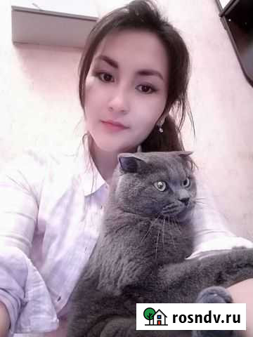 Уборка квартир.Офисов Санкт-Петербург - изображение 1