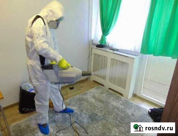 Уничтожение клопов и тараканов в Сатке Сатка - изображение 1