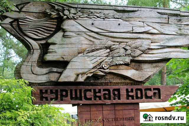 Экскурсия индивидуальная на Куршскую Косу Зеленоградск - изображение 1