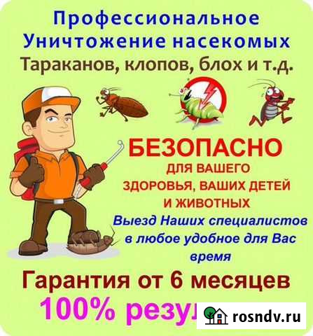 Избавим от насекомых Саранск - изображение 1