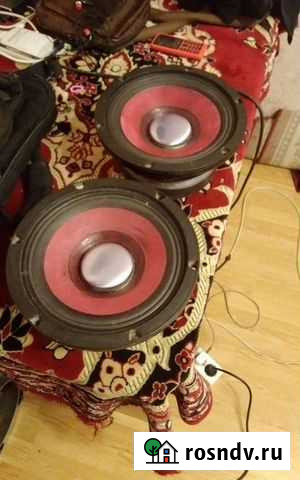 Фиолетки 20е Усть-Джегута - изображение 1