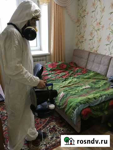 Уничтожение тараканов,клопов,блох и др. насекомых Алатырь - изображение 1