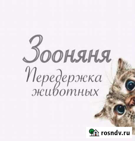 Передержка для животных Тюмень - изображение 1