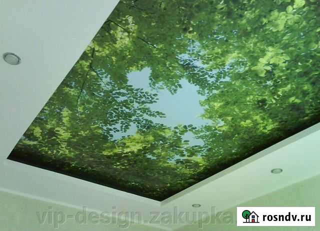 Натяжные потолки Майма - изображение 1