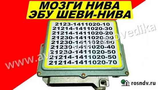 Эбу Мозги на Ваз Нива Шеви Нива Контроллер эбу Ваз Москва