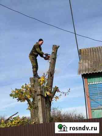 Спил деревьев Уварово