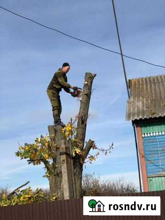 Спил деревьев Уварово - изображение 1