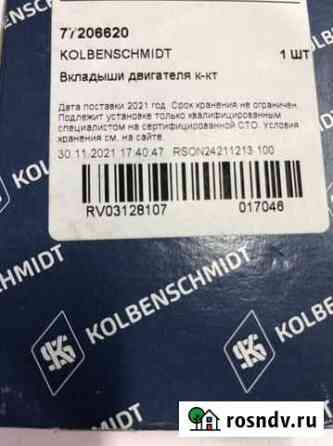 Вкладыши шатунные 77206620 Сургут