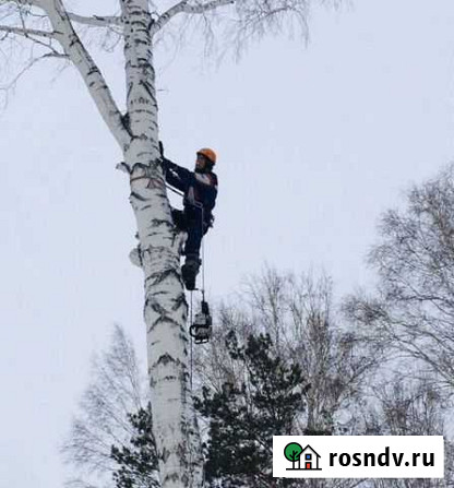 Спил Деревьев частями,Обрезка ветвей Красноярск - изображение 1