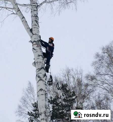 Спил Деревьев частями,Обрезка ветвей Красноярск - изображение 1