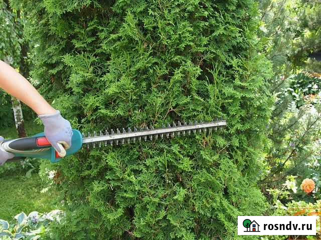 Садовые услуги Махачкала - изображение 1